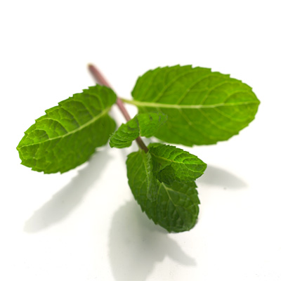 Borsmenta ízű e-liquid